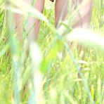 Fourth pic of MetArt - NIKA E. BY DOLCE  FIELDS 