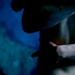 Second pic of Celebrities fuck like pornstars! - Nicole Kidman undressing and posing