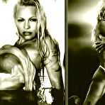 Fourth pic of Celebrities fuck like pornstars! - Pamela Anderson posing and fucking