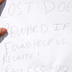 First pic of Christine Michaels @ CuckoldSessions.com - Cuckold Queens in nasty interracial action