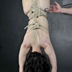 Third pic of Kami Suspended