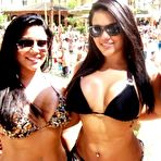 Fourth pic of Collection of big-tittied honeys displaying their nice racks