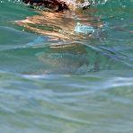 Second pic of Kate Walsh - nude celebrity toons @ Sinful Comics Free Membership