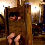 First pic of Divine Bitches - femdom on BDSMBook.com