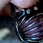 Second pic of Divine Bitches - femdom on BDSMBook.com