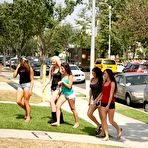 First pic of Hardcore Partying - Group Sex Party In College Dorm