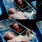 Fourth pic of Barbara Crampton at MillionCelebs.com