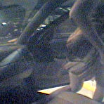 Fourth pic of Street Blow Jobs