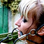 Fourth pic of Extreme bullwhipped all over