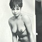 Third pic of Vintage Classic Porn
