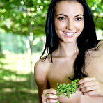 Fourth pic of Vineyard - FREE PHOTO PREVIEW - WATCH4BEAUTY erotic art magazine