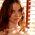 First pic of Little Mutt Free Gallery & Video