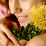 First pic of Alisa | Protea - MPL Studios free gallery.