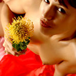 Fourth pic of Alisa | Protea - MPL Studios free gallery.