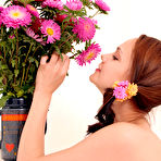 Second pic of Pussy Photos - Tiny Teen Models, Hot Teens