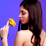 Second pic of OVERLAY - FREE PRETTY4EVER PHOTO GALLERY - YOUNG RUSSIAN MODELS