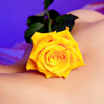 Fourth pic of OVERLAY - FREE PRETTY4EVER PHOTO GALLERY - YOUNG RUSSIAN MODELS