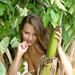 First pic of Cute brunette Sandra is well suited for the life of an outdoor girl with no clothes at all. - TheMetArt.com