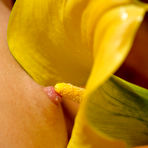 Third pic of Masha | Calla Lily - MPL Studios free gallery.