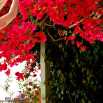 Second pic of SANDY SUMMERS  BY JASON_SELF - PRESENTING SANDY - ORIG. PHOTOS AT 3800 PIXELS - &copy; 2006 MET-ART.COM