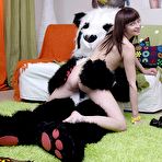 Second pic of Large sex toys for petite chick - Panda fuck