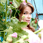 Second pic of Virgin Teen Pictures - Russian Girls Nude, Russian Teen Photo