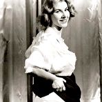First pic of VintageFlash Archive: Free Sample Gallery