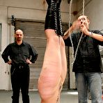 First pic of Whip trashing hanged headdown