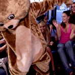 Fourth pic of Dancing Bear, sex party, bachelorette parties gone wild, party hardcore