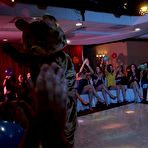 Fourth pic of Dancing Bear, sex party, bachelorette parties gone wild, party hardcore