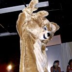 First pic of Dancing Bear, sex party, bachelorette parties gone wild, party hardcore