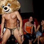 Second pic of Dancing Bear, sex party, bachelorette parties gone wild, party hardcore