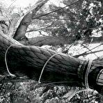 Fourth pic of Vintage Classic Porn