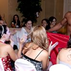 Second pic of Dancing Bear, sex party, bachelorette parties gone wild, party hardcore