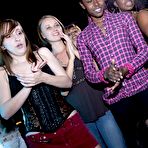 Third pic of Dancing Bear, sex party, bachelorette parties gone wild, party hardcore