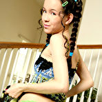 Second pic of TinyTabby.com