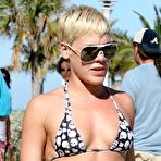 Fourth pic of Pink sex pictures @ Celebs-Sex-Scenes.com free celebrity naked ../images and photos