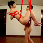 First pic of Japanese Femdom Videos, Japanese mistress, Lesbian Femdom, Japanese Lesbians, Japanese Strapon, Japanese Spank Femdom, Japanese Porn, Japanese Pussy