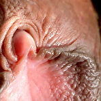 Fourth pic of JustNips.Com Everyday AMATEURS Totally Nude EXCLUSIVE