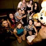 Fourth pic of Tale of the Dancing Bear