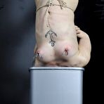 Fourth pic of Meis Suspension Needle Torture