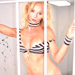Third pic of Foxy Angel