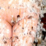 Fourth pic of Feather And Tar Bondage