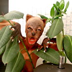 Third pic of :: FetishTransformation.com :: Free Pictures Gallery