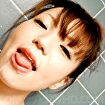 First pic of Watch porn pictures from video Asuka Ayanami Asian sucks woody and rubs it with feet at bathroom - Ferame.com