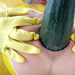 Third pic of Oversized Zucchini