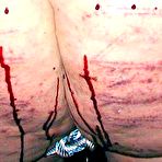 Fourth pic of PAINRISER - Masochism Website!