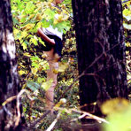 Fourth pic of PeeHunters - the one and only outdoor peeing site