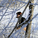 Fourth pic of PeeHunters - the one and onlu outdoor pissing site