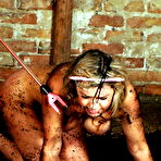 Third pic of Electro Pain Pig Humiliation